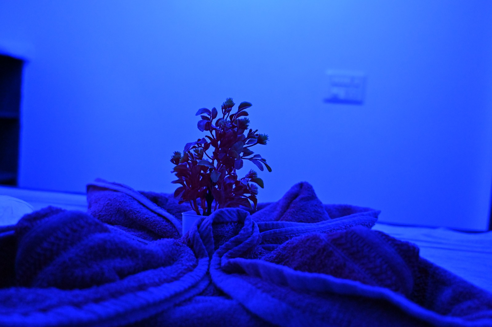 Novara Spa Khar Gallery